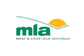 MLA