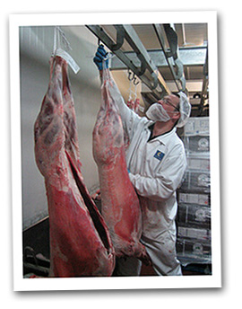 Wholesale meat